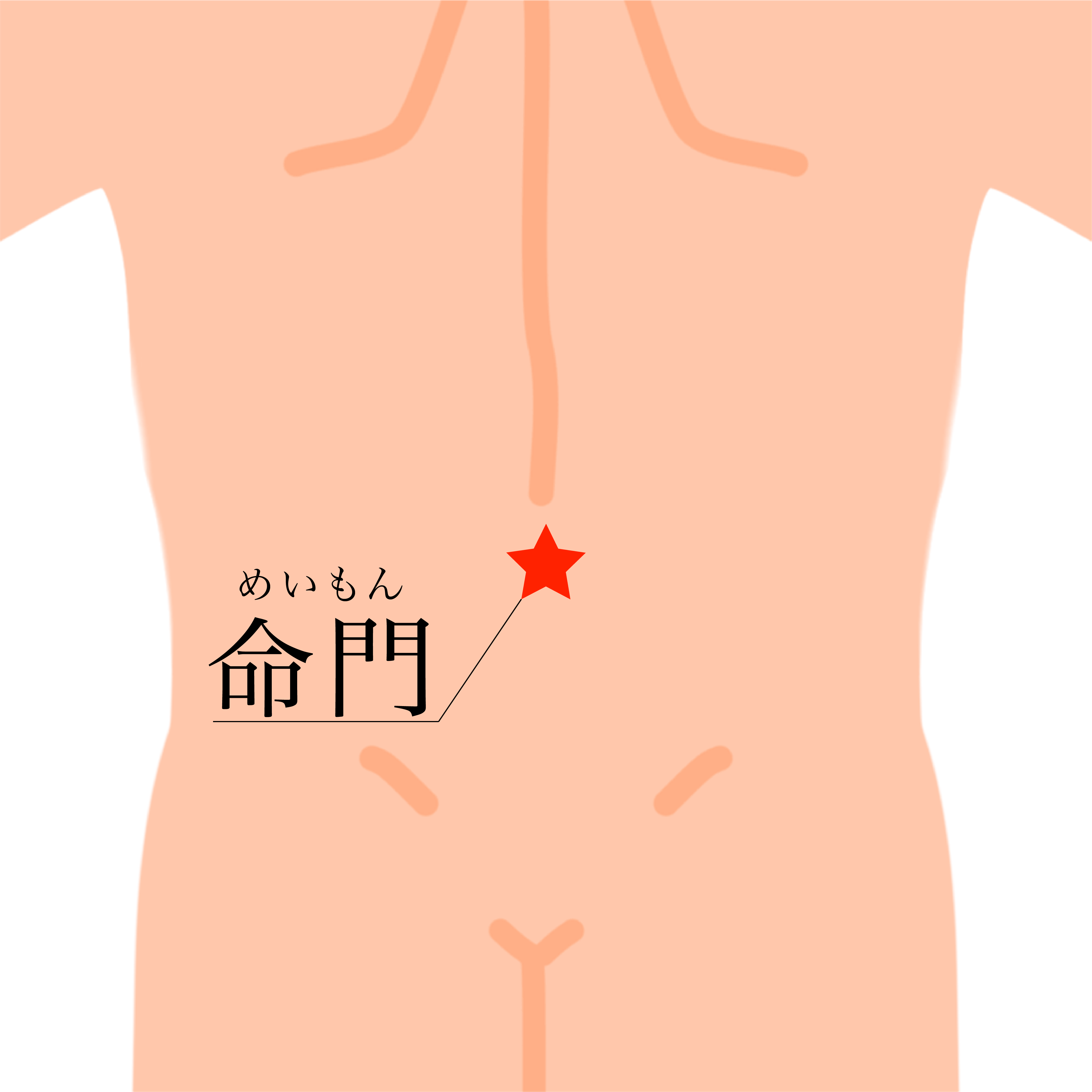 送料無料 大人気 ライフウェーブ カルノシン(足腰・痴呆・心臓対策 スタミナアップ)